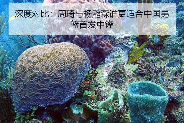 深度对比：周琦与杨瀚森谁更适合中国男篮首发中锋